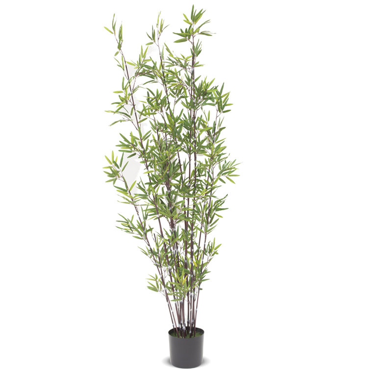 The Seasonal Aisle 188Cm Artificial Bamboo Tree in Pot Wayfair.co.uk